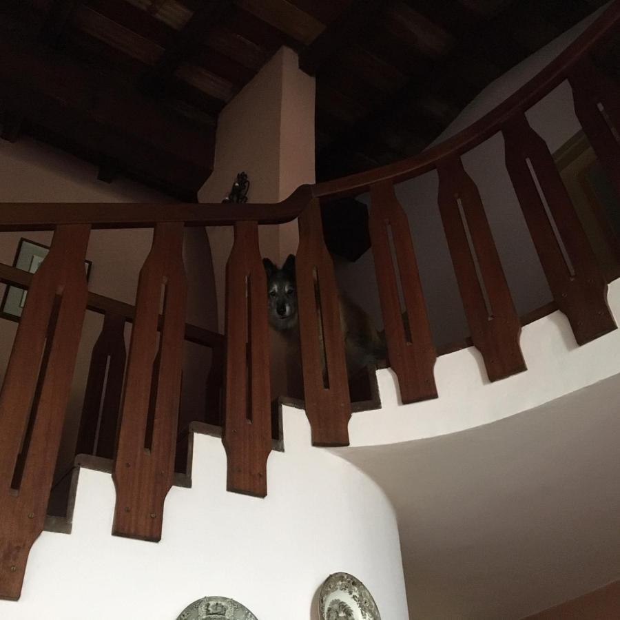 Mirabilia Adrara San Rocco Exterior foto